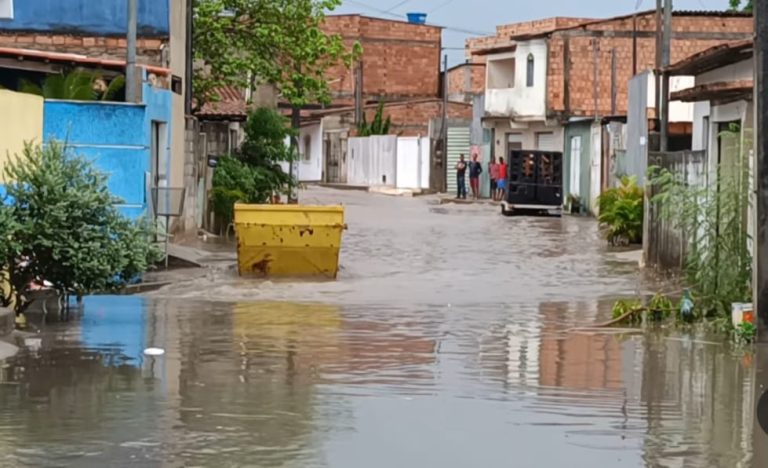 WhatsApp-Image-2023-12-22-at-08.46